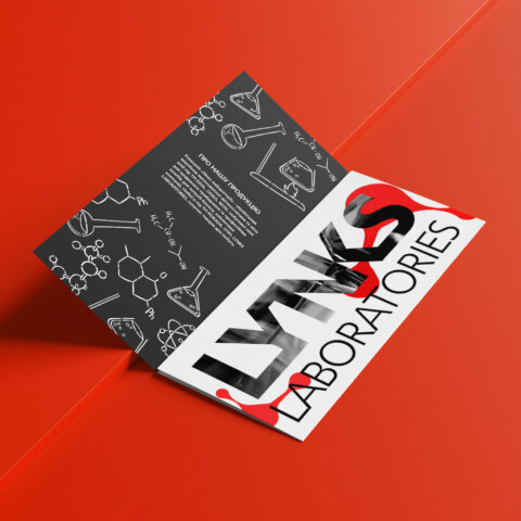 booklet_lynks_4 Дизайн флаєра для виробника автокосметики та автохімії “Lynks”. Фото 6 | BRANDME