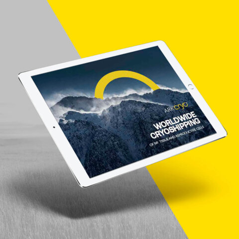 brandbook_arkcryo_2 Брендбук для компанії з доставки криоматеріалів “ARK CRYO”. Фото 11 | BRANDME