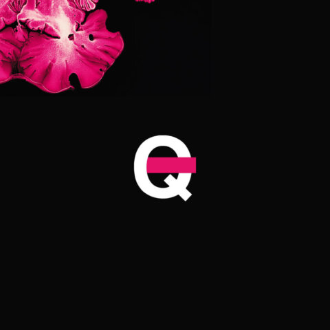 brandbook_queen_2 Розробка брендбуку для бренду “QUEEN”. Фото 5 | BRANDME