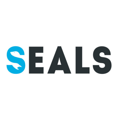 brandbook_seals_1 Розробка фірмового стилю для “SEALS”. Фото 14 | BRANDME