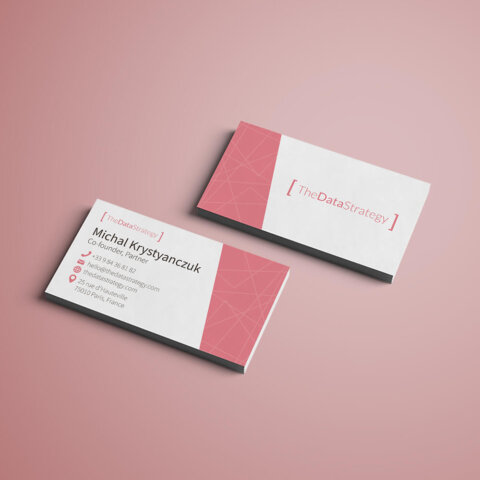 brandbook_tds_2 Розробка фірмового стилю для “The Data Strategy”. Фото 17 | BRANDME