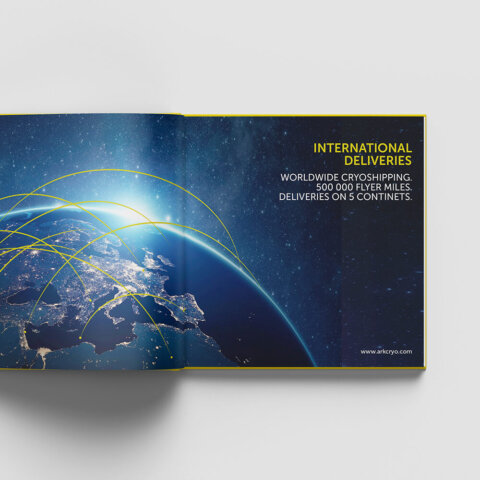 catalog_arkcryo_3 Розробка дизайну рекламного каталогу для ARK CRYO. Фото 13 | BRANDME