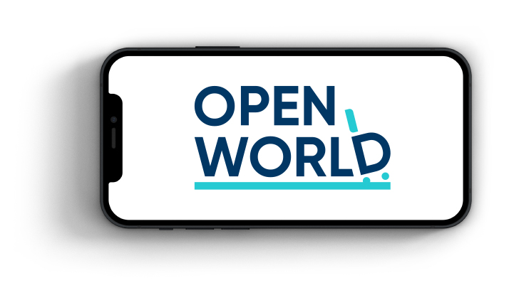 open-world-pic-1 Створення логобуку для туристичної компанії. Фото 2 | BRANDME