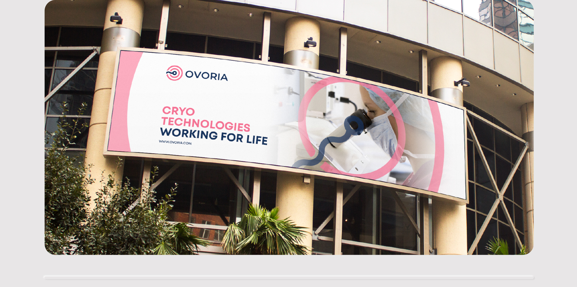 банер Створення айдентики для міжнародної медичної компанії Ovoria. Фото 8 | BRANDME