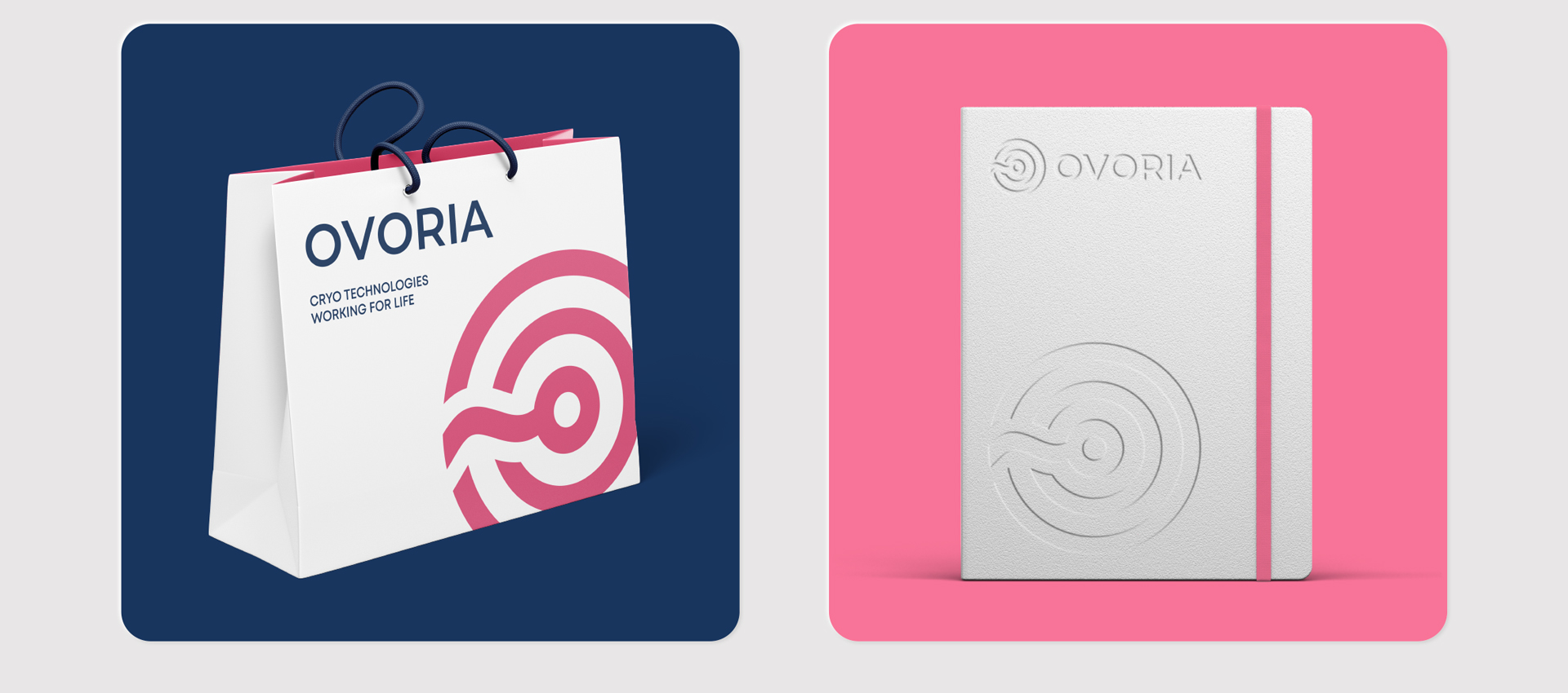 сувенірка 1 Створення айдентики для міжнародної медичної компанії Ovoria. Фото 6 | BRANDME